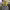 https://res.cloudinary.com/billionhands/image/upload/v1781965103/items/ts7pzzwq5oxdmozku1hu.jpg-2cover