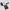 https://res.cloudinary.com/billionhands/image/upload/v1781965769/items/iy32iqw1vgbf7i73bimi.jpg-2cover