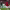 https://res.cloudinary.com/billionhands/image/upload/v1781967565/items/i1ddw1pmam1xqselht4h.avif-3cover