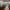 https://res.cloudinary.com/billionhands/image/upload/v1781967665/items/mhr7nrslnq4jaco2g0nz.jpg-3cover