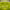 https://res.cloudinary.com/billionhands/image/upload/v1781969575/items/tdiqlt1efagcu513cfou.png-1cover
