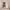 https://res.cloudinary.com/billionhands/image/upload/v1781971666/items/vuebtwxv81bymdzxvktc.jpg-1cover