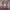 https://res.cloudinary.com/billionhands/image/upload/v1781971935/items/dqbcnpwrtmkxxerl1qi8.jpg-2cover