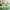 https://res.cloudinary.com/billionhands/image/upload/v1781972211/items/vhccmimex5jzffmqtjvr.avif-2cover