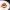 https://res.cloudinary.com/billionhands/image/upload/v1781972674/items/wueikm2y9vepba04d0g4.webp-2cover