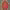 https://res.cloudinary.com/billionhands/image/upload/v1782114155/items/oeq0srbsmasihdeb5fkt.jpg-0cover