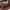 https://res.cloudinary.com/billionhands/image/upload/v1782114346/items/jjpekog64jdgey6gkket.jpg-1cover