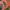 https://res.cloudinary.com/billionhands/image/upload/v1782114461/items/rc0xpjhfgdbwl7ubrl7j.avif-3cover