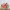 Moonstruck Events cover