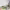 https://res.cloudinary.com/billionhands/image/upload/v1782118920/items/ymavai81x2cudvnxmrpw.jpg-2cover