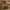 https://res.cloudinary.com/billionhands/image/upload/v1782119493/items/rhvegjbcijlgxrxdqn4k.jpg-1cover