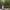 https://res.cloudinary.com/billionhands/image/upload/v1782119798/items/wtqd2gbenyyel2crefuj.jpg-3cover