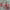 https://res.cloudinary.com/billionhands/image/upload/v1782122959/items/cdy8mzzlndiccmxtnq7a.webp-2cover