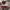 https://res.cloudinary.com/billionhands/image/upload/v1782126756/items/rcixzlcwa20u138wb4k2.webp-3cover