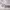 https://res.cloudinary.com/billionhands/image/upload/v1782127427/items/sqavzelupqoxzynxtffq.webp-1cover