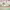 https://res.cloudinary.com/billionhands/image/upload/v1782127443/items/ryrzl3kpsbyg4yytcrvk.jpg-0cover