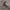 https://res.cloudinary.com/billionhands/image/upload/v1782128715/items/brdnwnpvk4c3z5rrkjc5.webp-1cover