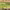 https://res.cloudinary.com/billionhands/image/upload/v1782128731/items/gxainkns73zatfzwttt7.jpg-0cover