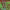 https://res.cloudinary.com/billionhands/image/upload/v1782128886/items/c0ofxptwqndascrplqwr.jpg-3cover