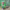 https://res.cloudinary.com/billionhands/image/upload/v1782129787/items/vdsurjmgghpb3lcgxfor.jpg-2cover