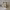 https://res.cloudinary.com/billionhands/image/upload/v1782130673/items/fv7yk8o9wsloh3iorjdn.jpg-0cover