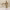 https://res.cloudinary.com/billionhands/image/upload/v1782130678/items/pepdmms1rgwbhure0nwy.jpg-3cover