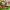 https://res.cloudinary.com/billionhands/image/upload/v1782131508/items/u7ac7gjcmvrnifaioon2.jpg-3cover