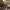 https://res.cloudinary.com/billionhands/image/upload/v1782134612/items/d6iucprdpiggpo4iaaxa.jpg-2cover