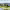 https://res.cloudinary.com/billionhands/image/upload/v1782134777/items/twfleq8wtanaonzwbkui.png-1cover