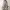 https://res.cloudinary.com/billionhands/image/upload/v1782138337/items/iu1u367k1g8du9bleuuk.jpg-1cover