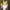 https://res.cloudinary.com/billionhands/image/upload/v1782139582/items/s4haatpml2rjcjam4gzf.webp-0cover