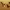 https://res.cloudinary.com/billionhands/image/upload/v1782140063/items/iedufqrcb4n3oovkecav.webp-2cover