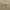 https://res.cloudinary.com/billionhands/image/upload/v1782140126/items/dtuzvuynu6sf6vxzcgfx.jpg-2cover
