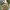 https://res.cloudinary.com/billionhands/image/upload/v1782140365/items/oi6ttzckh0b7aghvmv7m.jpg-2cover
