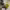 https://res.cloudinary.com/billionhands/image/upload/v1782140530/items/ivi5jji9zfjie0mqmatr.jpg-0cover