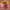 https://res.cloudinary.com/billionhands/image/upload/v1782141630/items/kbq2xnxz1lz8zrqkhcka.jpg-2cover
