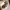 https://res.cloudinary.com/billionhands/image/upload/v1782143228/items/dbyzizctbu7dznahdwmg.webp-1cover