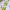 https://res.cloudinary.com/billionhands/image/upload/v1782145269/items/znwkmw2bcvosoor9chgo.webp-3cover