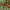 https://res.cloudinary.com/billionhands/image/upload/v1782147262/items/driasb92hfbvsoujnj8v.webp-1cover