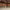 https://res.cloudinary.com/billionhands/image/upload/v1782148445/items/tjegltzdmmcinhnpddiv.jpg-1cover