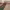 https://res.cloudinary.com/billionhands/image/upload/v1782148642/items/tjzheegcq5cxp8oye96s.webp-2cover