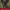 https://res.cloudinary.com/billionhands/image/upload/v1782149984/items/luo821g1mburshifku2c.jpg-2cover