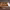 https://res.cloudinary.com/billionhands/image/upload/v1782151414/items/rllibgpofzwsgetyzk5v.webp-2cover