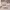 https://res.cloudinary.com/billionhands/image/upload/v1782151582/items/jbkm8dkizkc3uj9gfhn8.avif-3cover