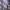 https://res.cloudinary.com/billionhands/image/upload/v1782151753/items/wne2pl5uerk9rfydtdiv.webp-1cover