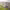 https://res.cloudinary.com/billionhands/image/upload/v1782151786/items/brvkxzennejjoemlffov.jpg-1cover