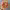 https://res.cloudinary.com/billionhands/image/upload/v1782151908/items/uyk9ylayad5sq1tgdmzn.webp-3cover