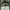 https://res.cloudinary.com/billionhands/image/upload/v1782151913/items/vzbc6exroswfrgdjsq6e.webp-1cover