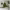 https://res.cloudinary.com/billionhands/image/upload/v1782152942/items/tzfhxmmxt3pi1pedgacn.jpg-2cover