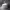 https://res.cloudinary.com/billionhands/image/upload/v1782153345/items/ebrsvhetbu3zo9tgzxfd.webp-3cover